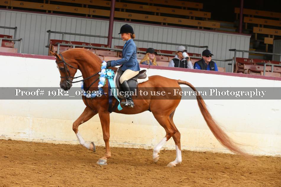 Proof 19R2_02323