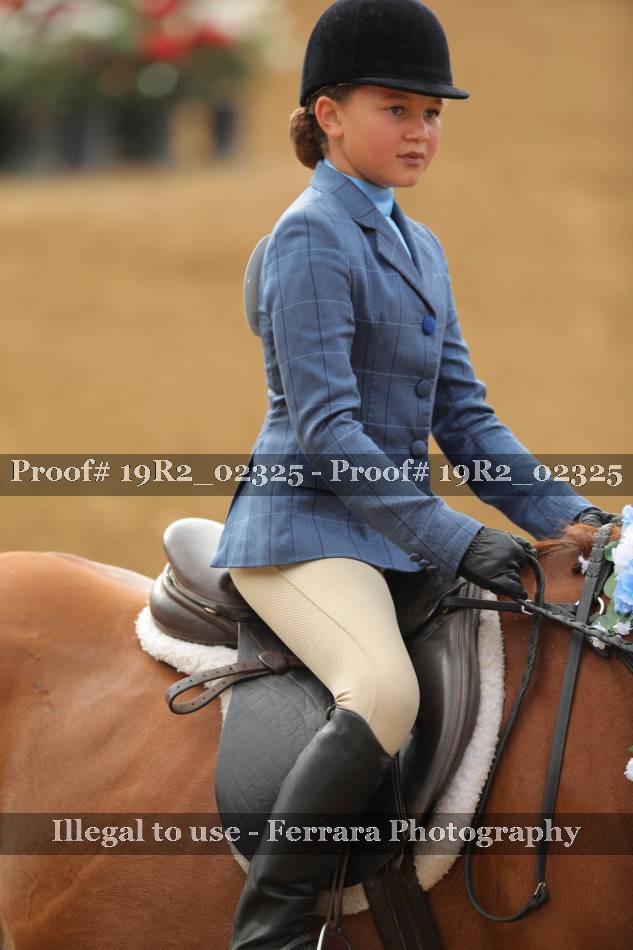 Proof 19R2_02325