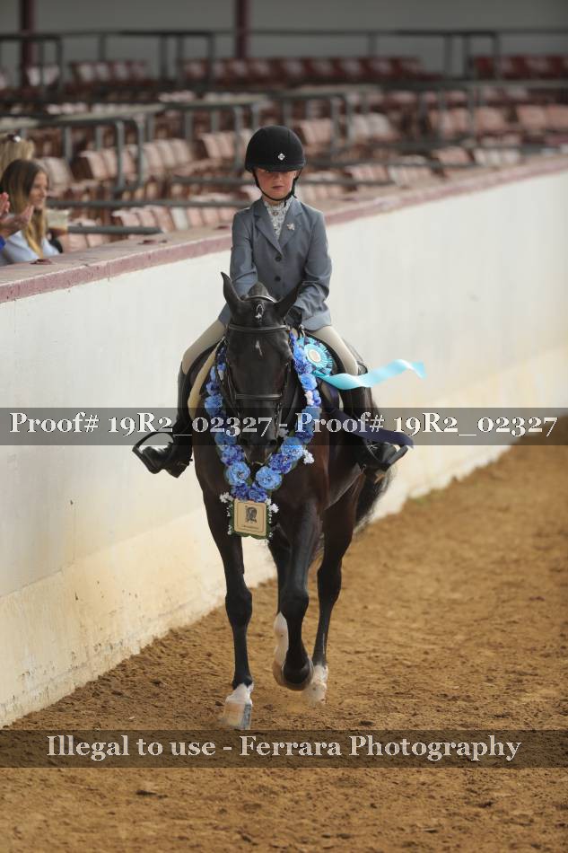 Proof 19R2_02327