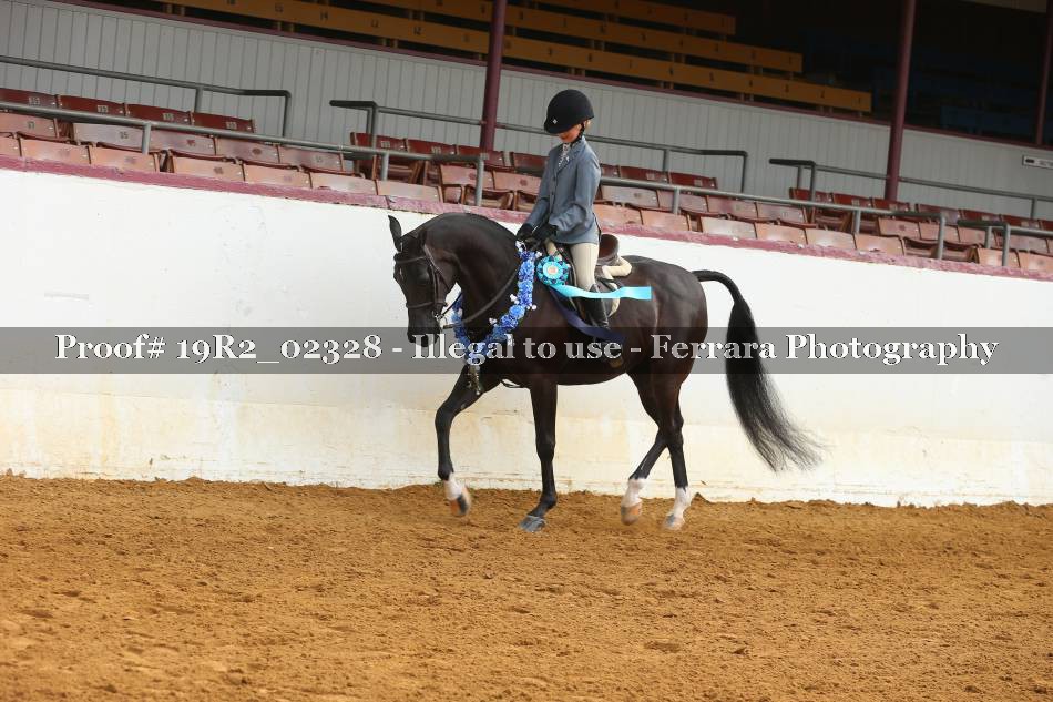 Proof 19R2_02328