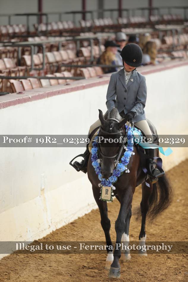 Proof 19R2_02329