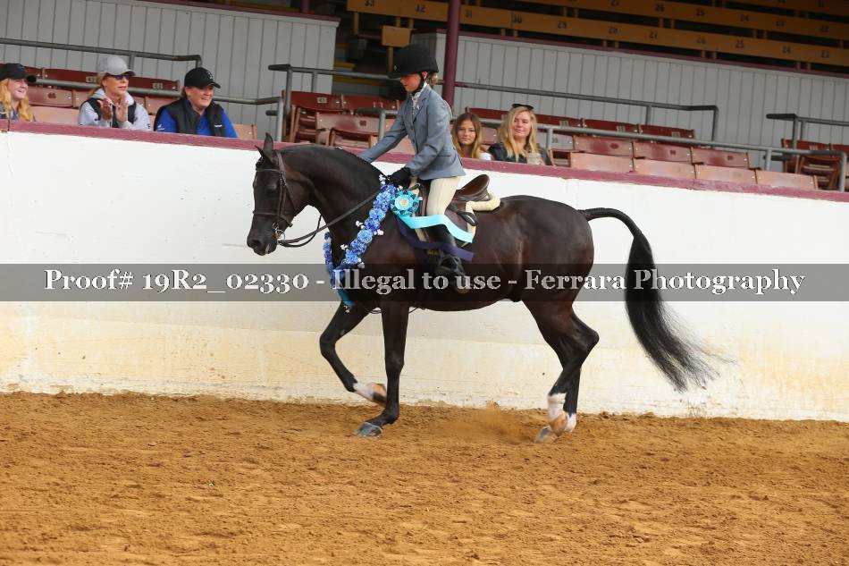 Proof 19R2_02330