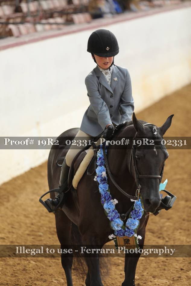 Proof 19R2_02331