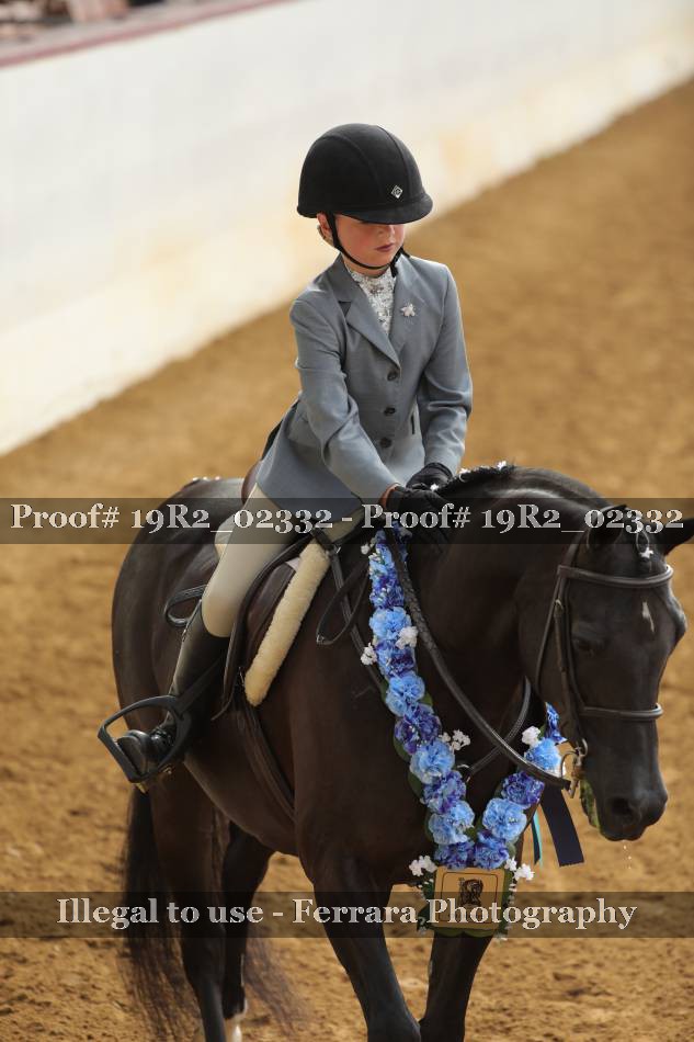 Proof 19R2_02332