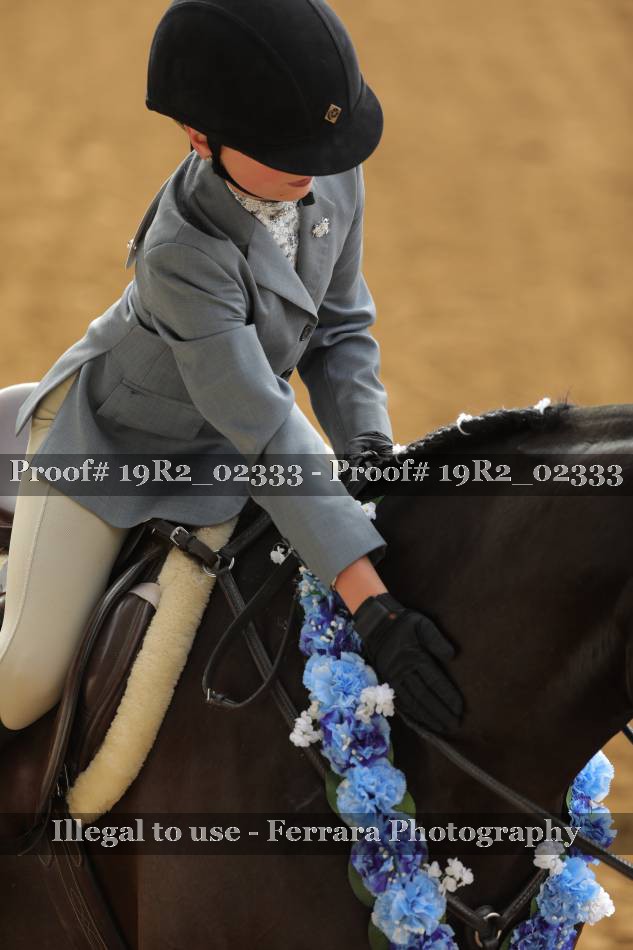 Proof 19R2_02333