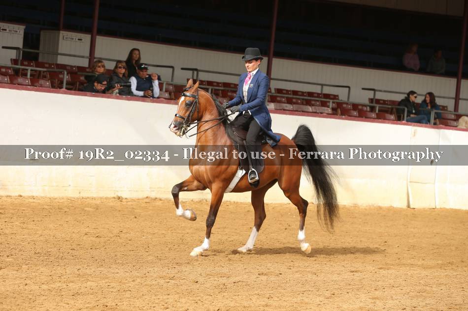 Proof 19R2_02334