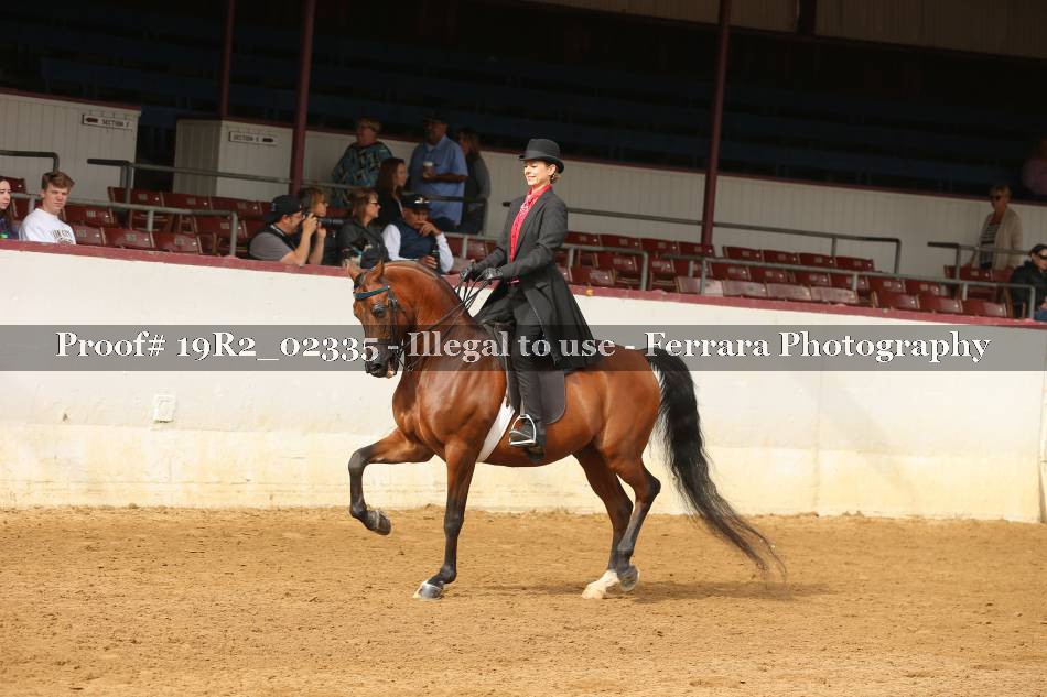 Proof 19R2_02335