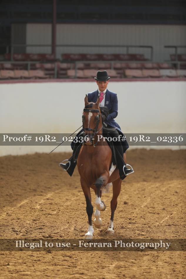 Proof 19R2_02336