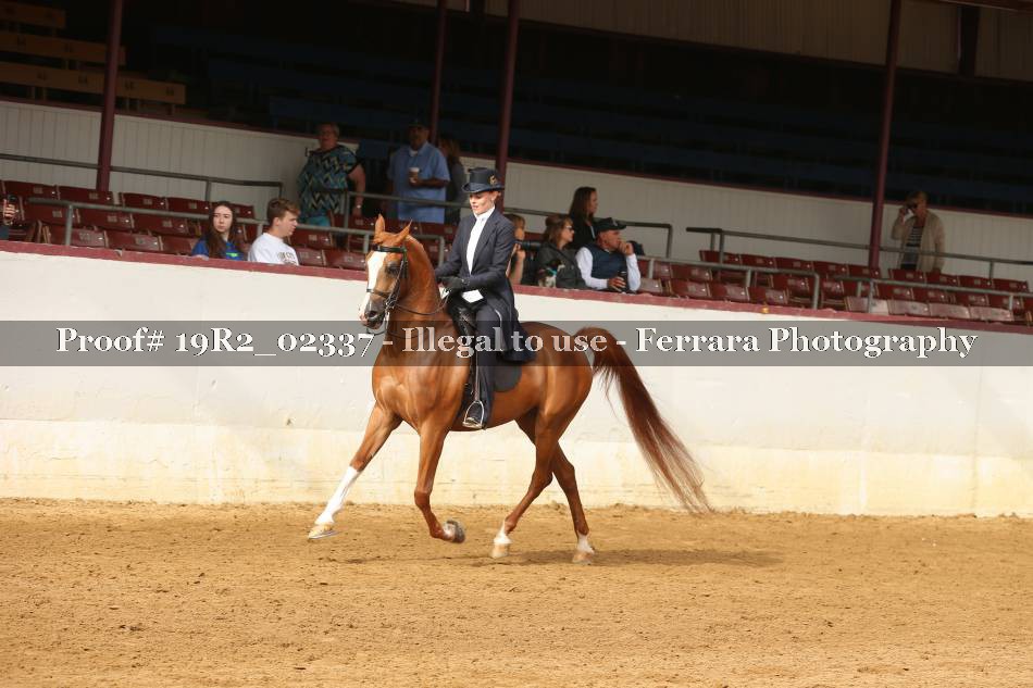 Proof 19R2_02337
