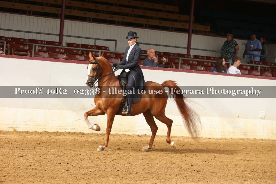 Proof 19R2_02338
