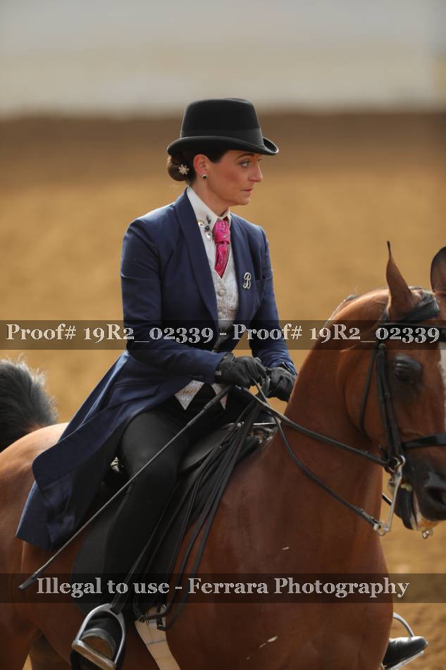 Proof 19R2_02339