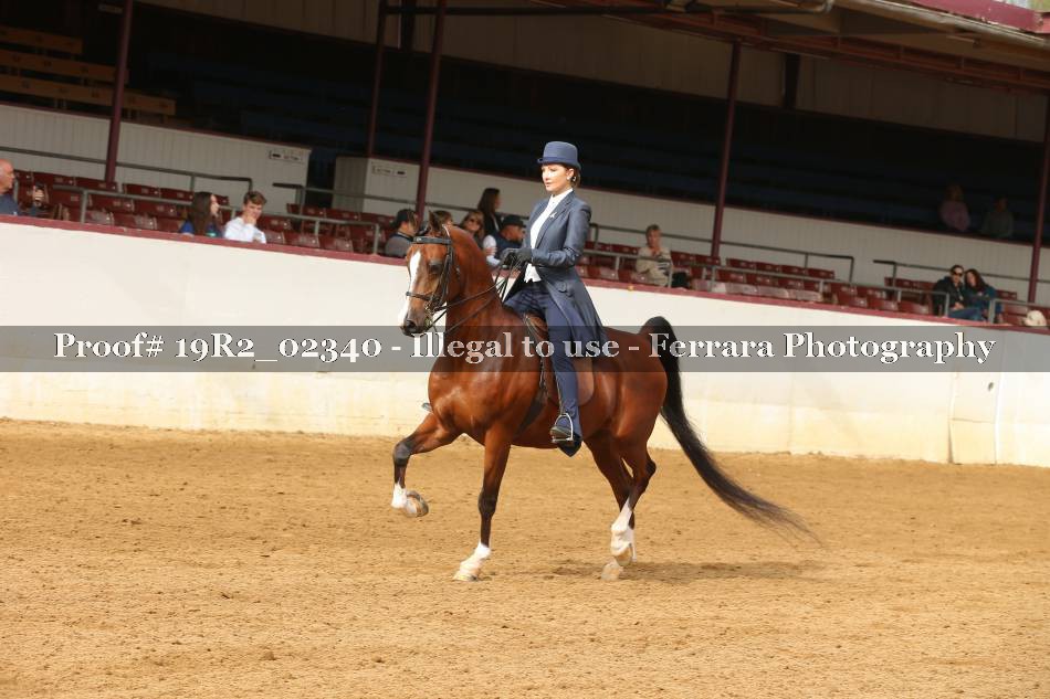 Proof 19R2_02340