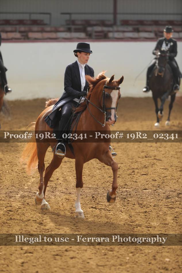 Proof 19R2_02341