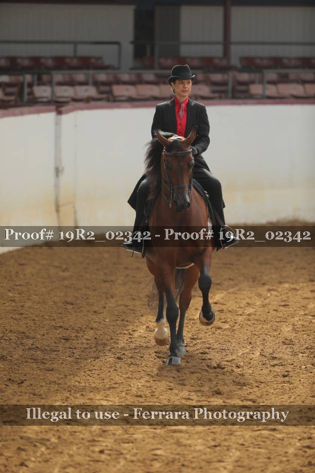 Proof 19R2_02342