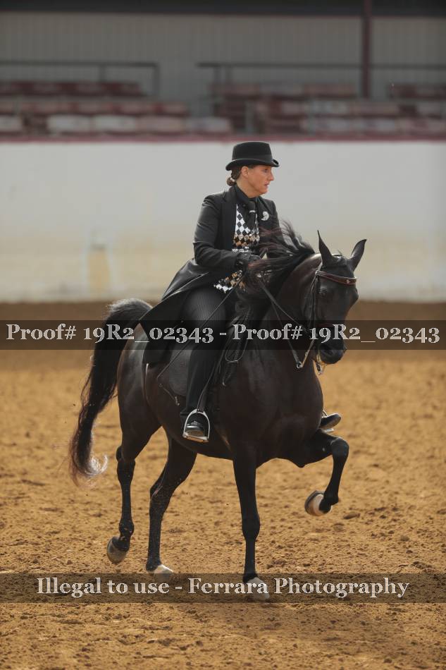 Proof 19R2_02343