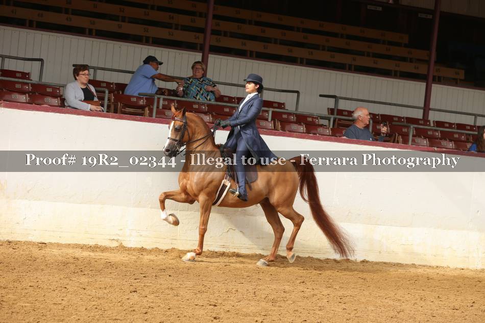 Proof 19R2_02344