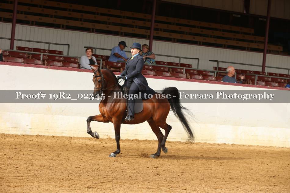 Proof 19R2_02345
