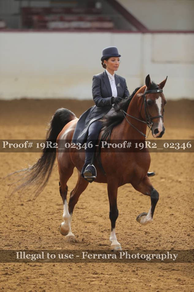 Proof 19R2_02346