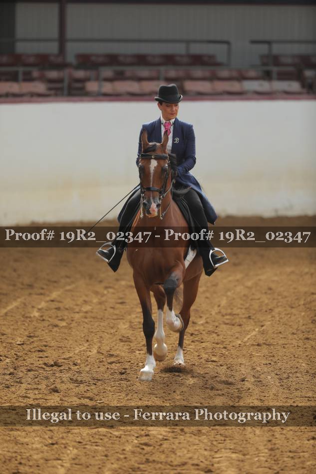 Proof 19R2_02347