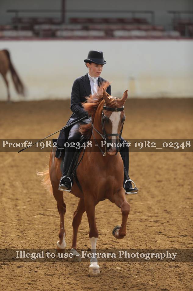 Proof 19R2_02348