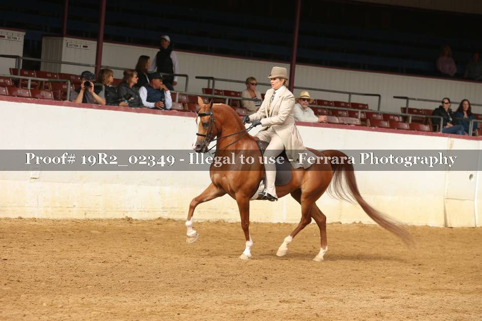 Proof 19R2_02349