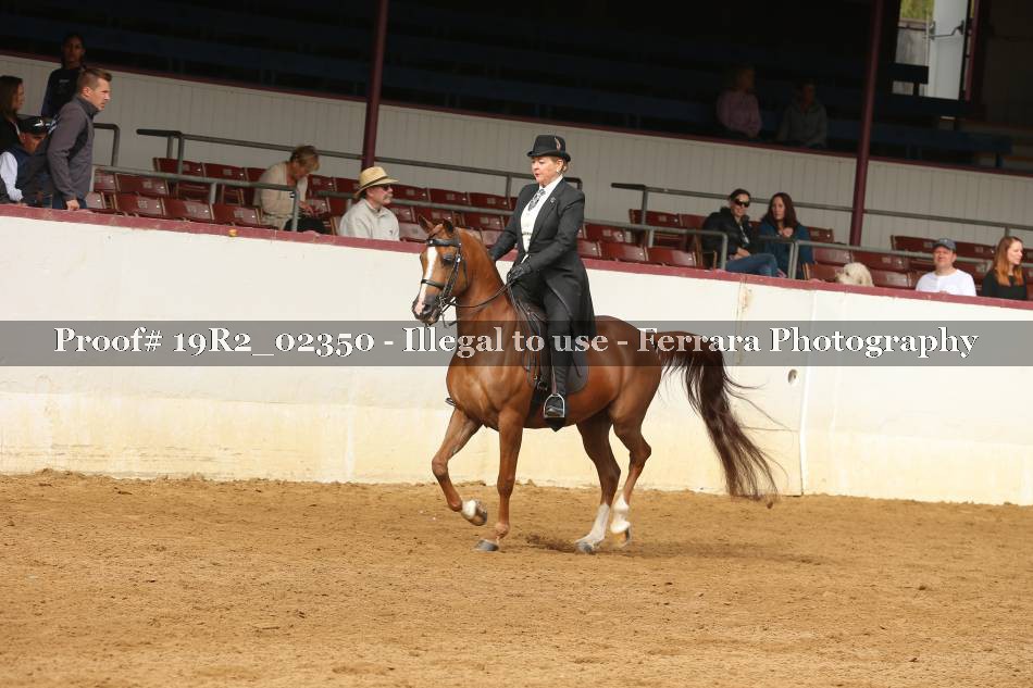 Proof 19R2_02350