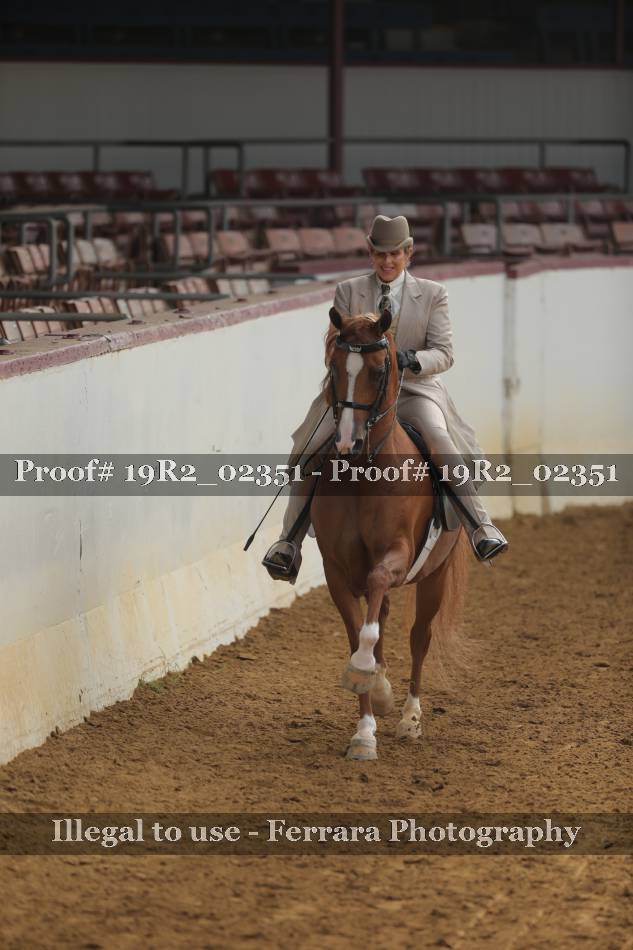 Proof 19R2_02351