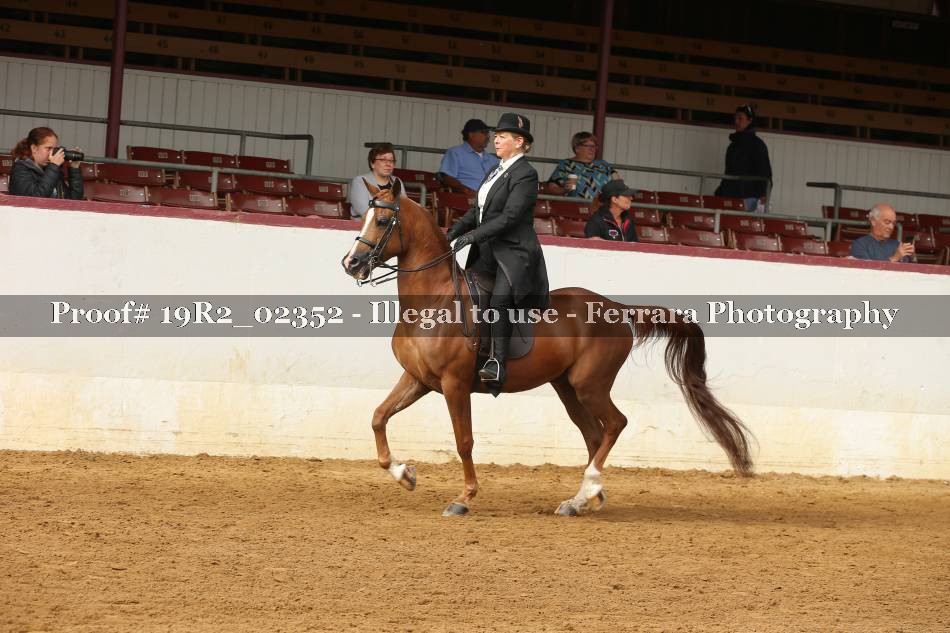 Proof 19R2_02352