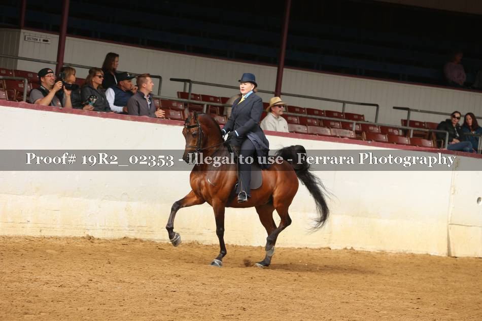 Proof 19R2_02353