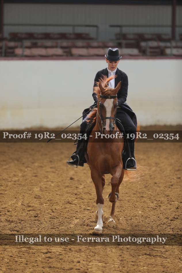 Proof 19R2_02354