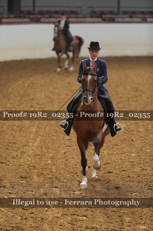 Proof 19R2_02355