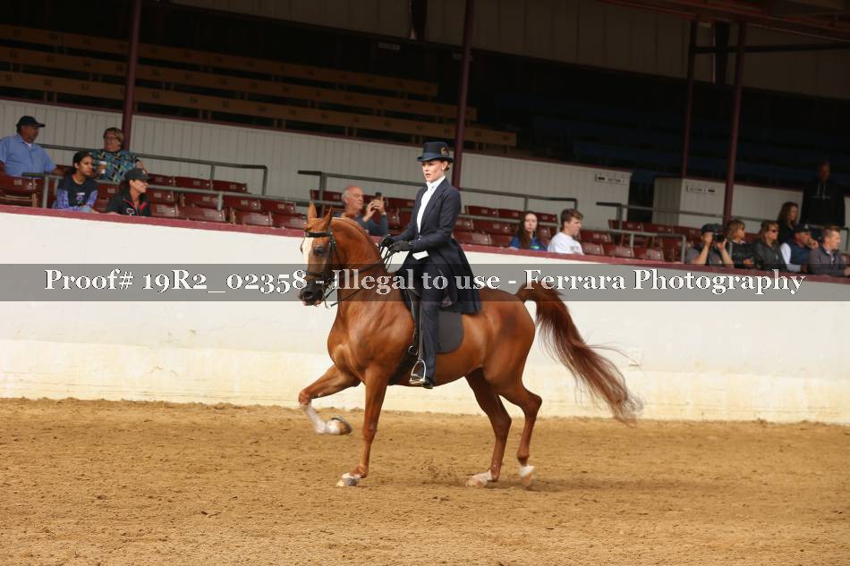 Proof 19R2_02358