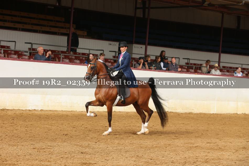 Proof 19R2_02359