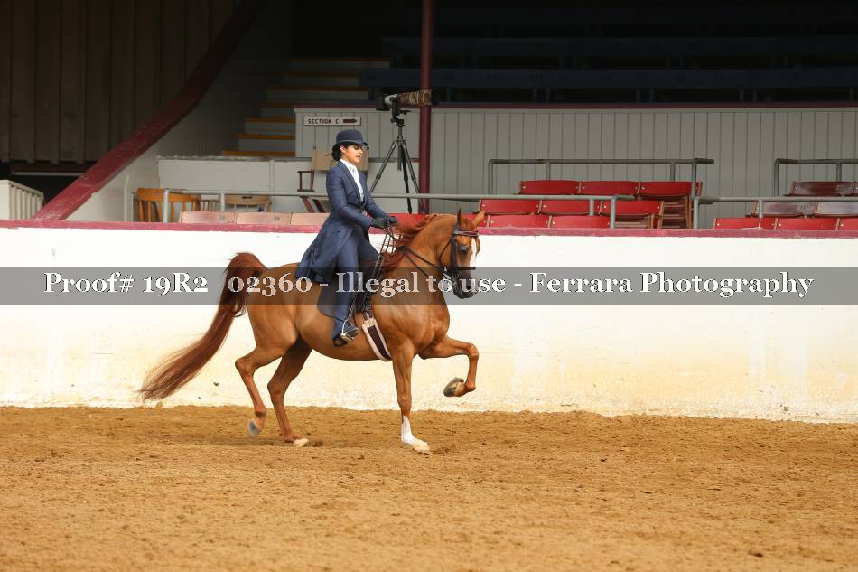 Proof 19R2_02360