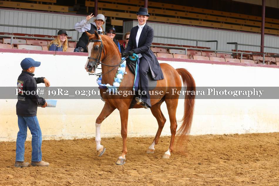 Proof 19R2_02361
