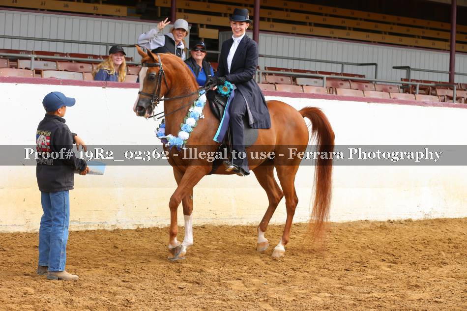 Proof 19R2_02362
