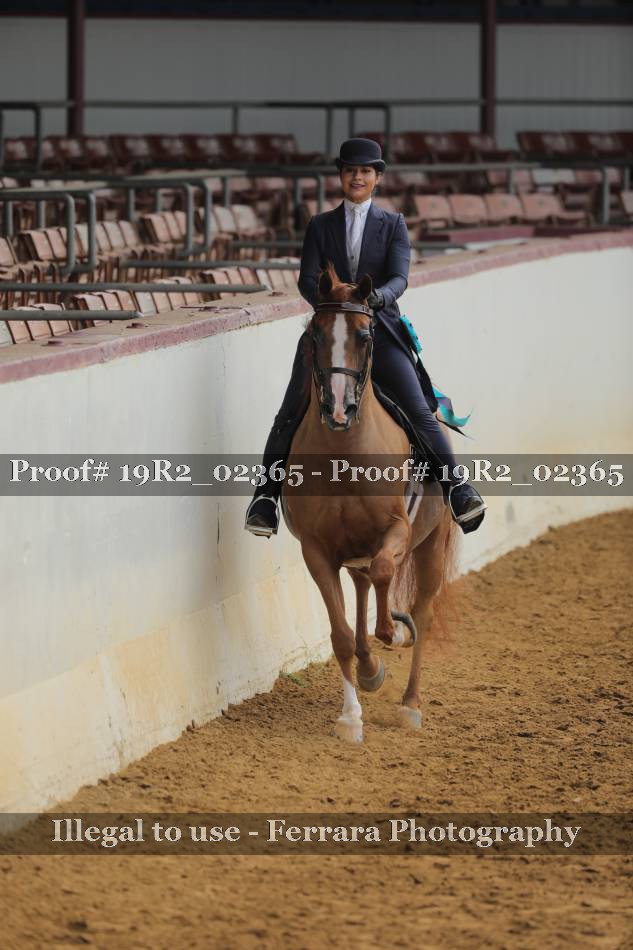 Proof 19R2_02365