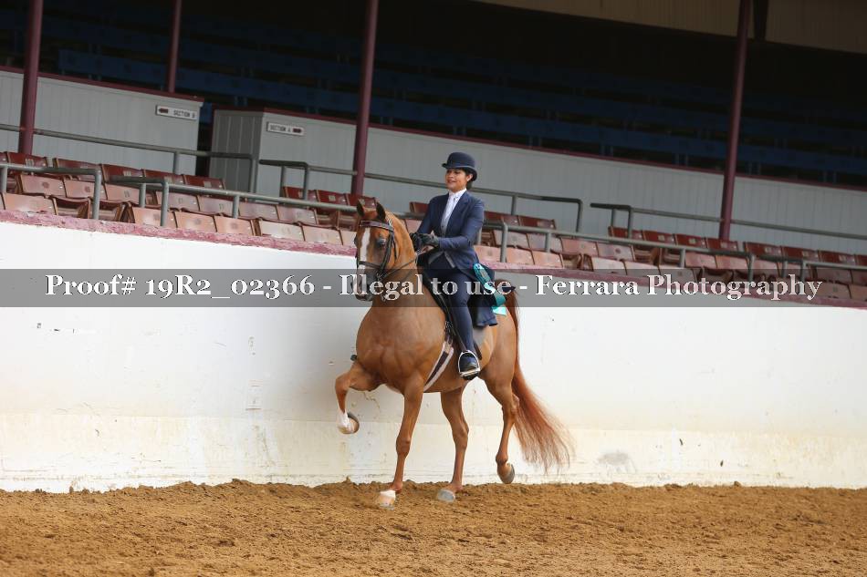 Proof 19R2_02366