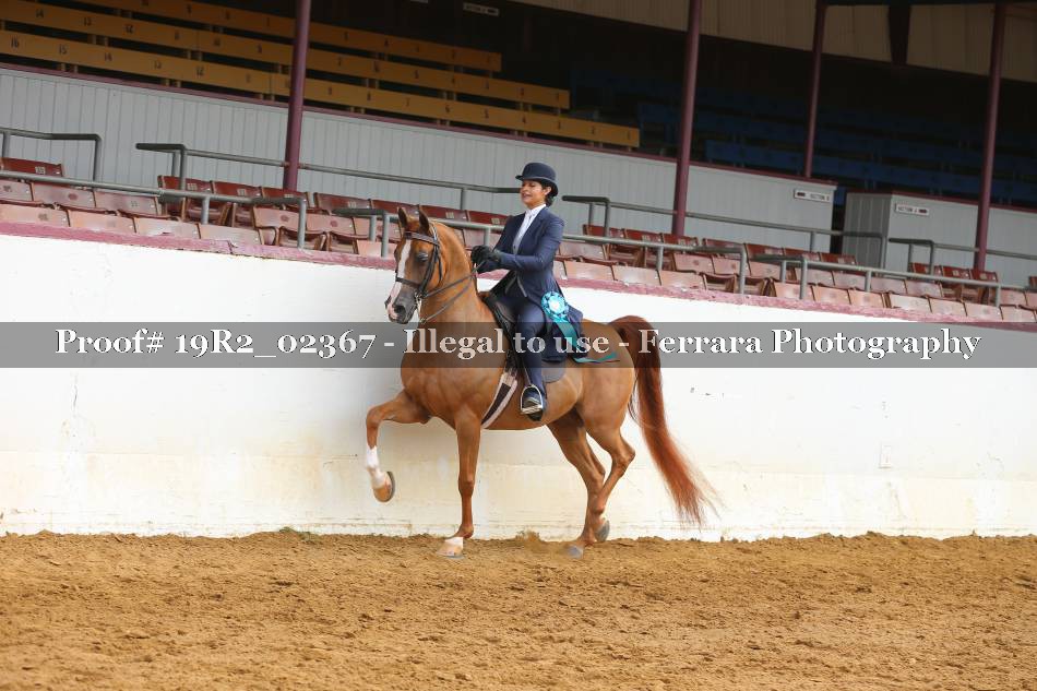 Proof 19R2_02367
