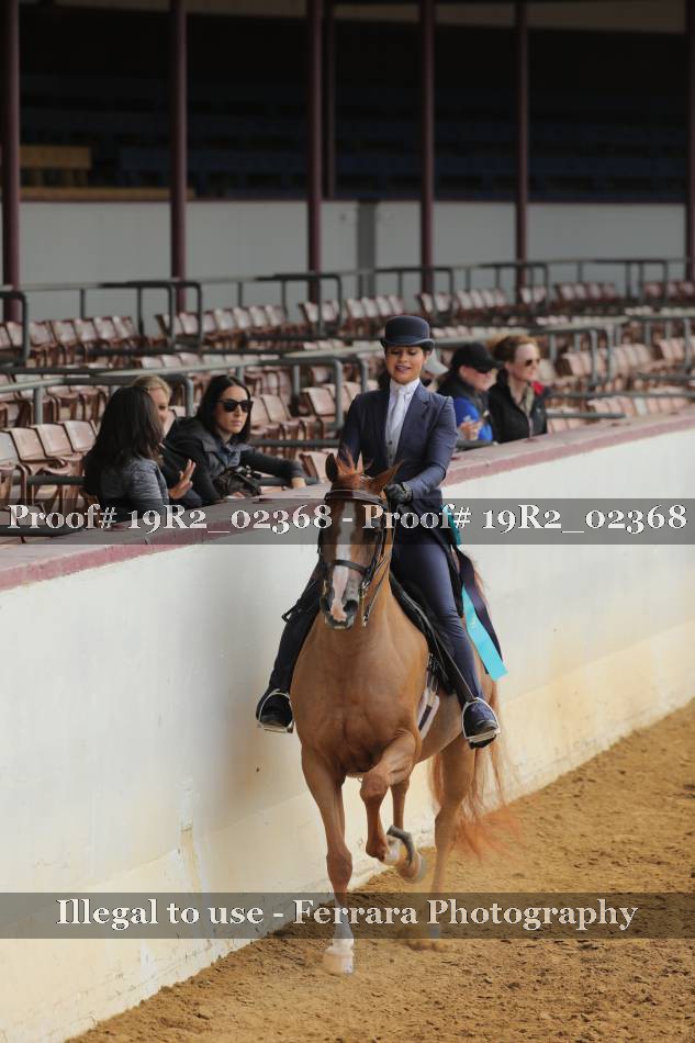 Proof 19R2_02368
