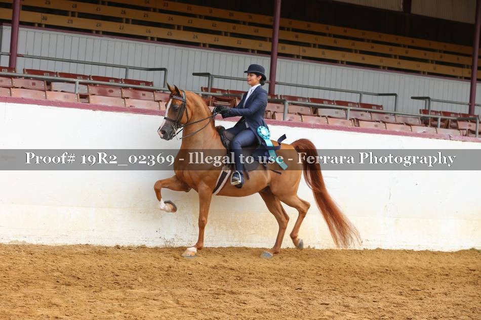 Proof 19R2_02369