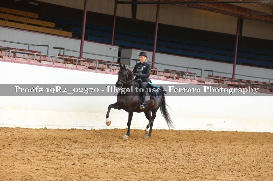Proof 19R2_02370