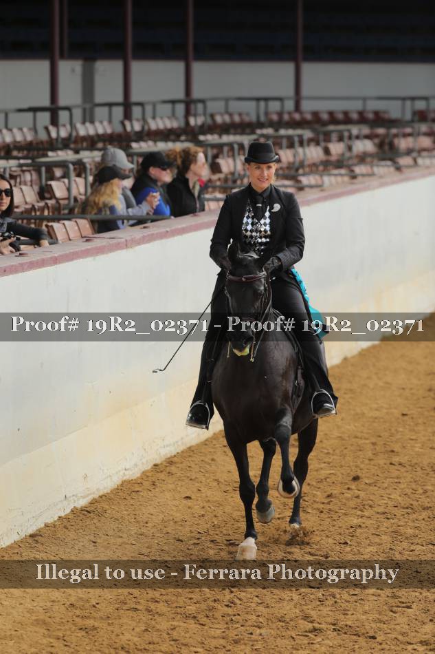 Proof 19R2_02371