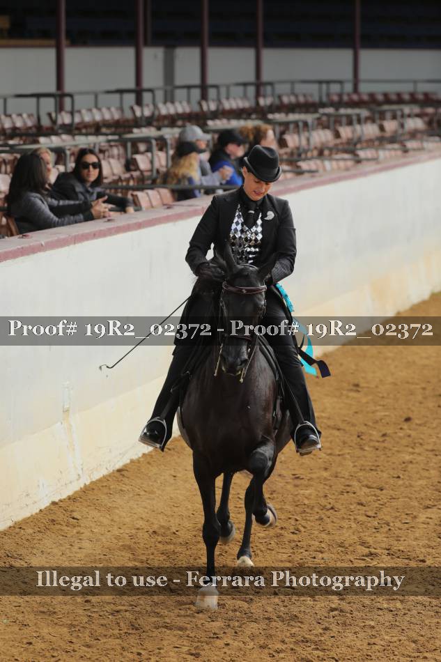 Proof 19R2_02372