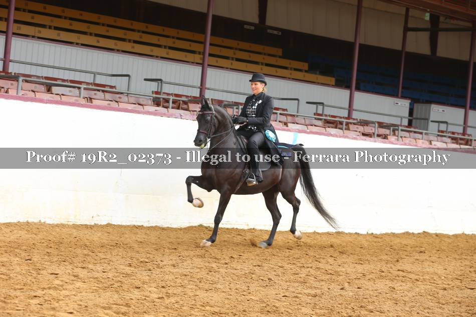 Proof 19R2_02373