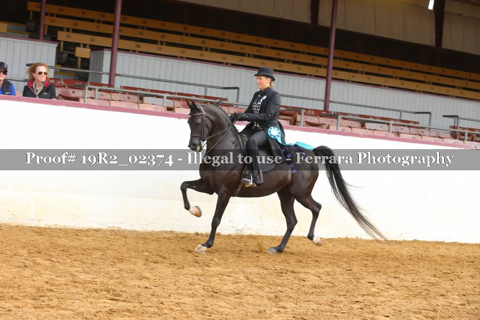 Proof 19R2_02374