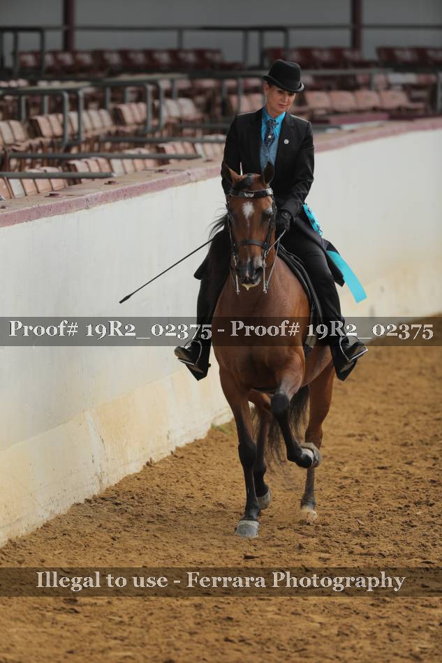 Proof 19R2_02375