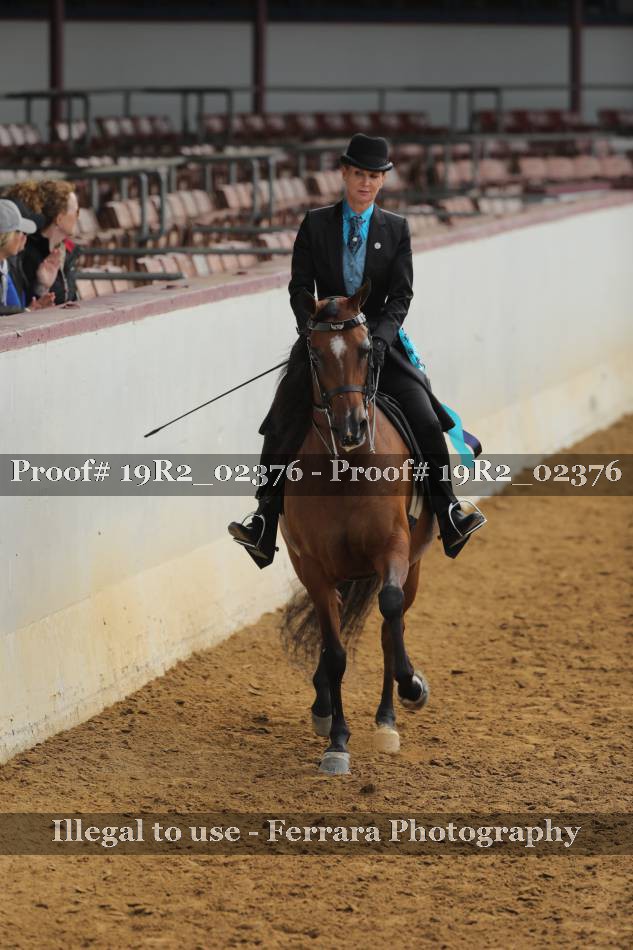 Proof 19R2_02376