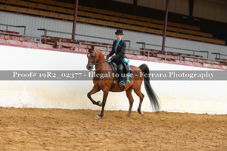 Proof 19R2_02377