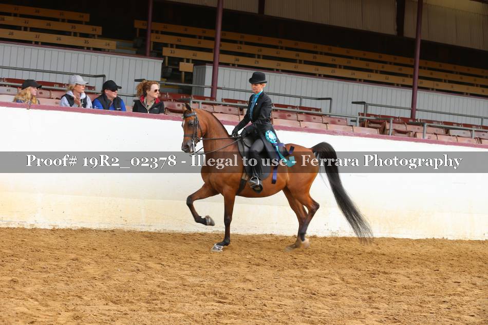 Proof 19R2_02378